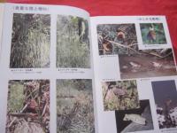 南風原町史　　　　第二巻　　　　自然・地理資料編　　　　　　　　【沖縄・琉球・歴史・文化・自然・動物・植物・地域・環境】
