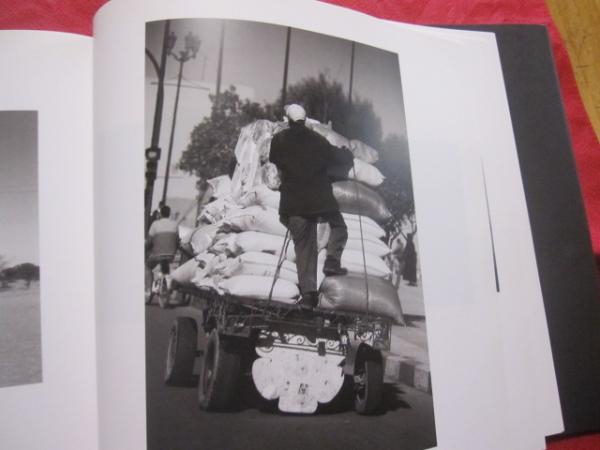 ありふれた景色 the garden variety of seene