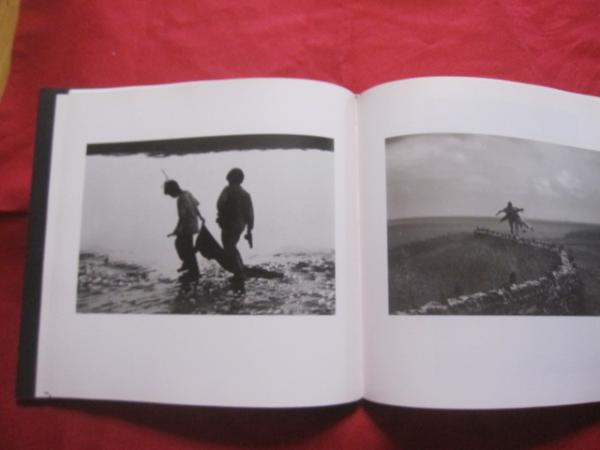 ありふれた景色 the garden variety of seene