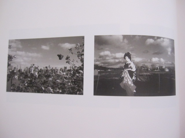 ありふれた景色 the garden variety of seene