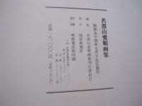 名渡山愛順画集 名渡山愛順画集 【沖縄・琉球・歴史・絵画・作品集・美術・芸術