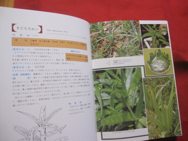 ☆誰にでもできる薬草の利用法 おきなわの薬草百科 （復刻版） 沖縄の