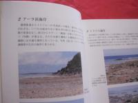 潮間帯と海藻  Ⅲ  　　沖縄島の周辺離島を歩く   　　 久場 安次　 著   　　 新星出版 　発行   　　　　   【沖縄・琉球・自然・地質・生物】