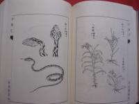 沖縄志　 （琉球志）  　 明治初年わが国最初の沖縄の歴史・地理書　  旧鹿児島藩士伊地知貞馨が著わした名著！    　       【沖縄・琉球・歴史・文化】