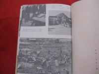 激動の２５年誌  　沖縄の証言　　 上下巻揃い  　    【沖縄・琉球・歴史・文化】