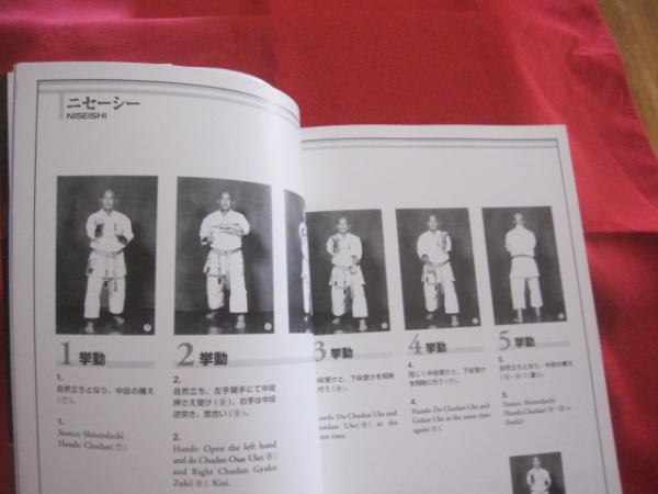 劉衛流空手形全集 ALL KATA OF RYUEIRYU