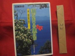 潮だまりの魚たち 　　    沖縄・座間味島の戦世（イクサユー）  　　     【沖縄・琉球・歴史・太平洋戦争・沖縄戦】