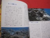 カラー百科シリーズ　⑥　　　沖縄の自然　　　〔　サンゴ礁の科学　〕　　　　　　【琉球・自然・動物・生物・環境】