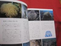 カラー百科シリーズ　⑥　　　沖縄の自然　　　〔　サンゴ礁の科学　〕　　　　　　【琉球・自然・動物・生物・環境】