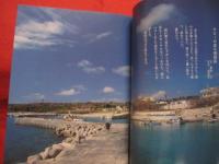 ☆ナビィの恋 　　　　　沖縄　―　　永遠の愛してるランド　　     　　　　 【沖縄・琉球・歴史・文化・映画・平良とみ・登川誠仁・粟国島】