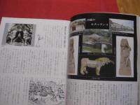 カラー版  　  グスクロード    　沖縄の城ものがたり      　　沖縄の戦国絵巻 　 王 ・ 按司たちの野望と悲しみ　　         【沖縄・琉球・歴史・文化】