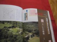 カラー版  　  グスクロード    　沖縄の城ものがたり      　　沖縄の戦国絵巻 　 王 ・ 按司たちの野望と悲しみ　　         【沖縄・琉球・歴史・文化】