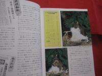 東洋のガラパゴス  　　西表島の自然   　　　白井 祥平　・　佐野 芳康　 著　　          【沖縄・琉球・自然・生物・動物・植物・昆虫・離島】