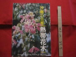 ☆沖縄の自然　　　　 熱帯花木　　　　 カラー百科シリーズ  　　⑤　　　　　 【沖縄・琉球・自然・植物・樹木】　