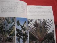 ☆沖縄の自然　　　　 熱帯花木　　　　 カラー百科シリーズ  　　⑤　　　　　 【沖縄・琉球・自然・植物・樹木】　