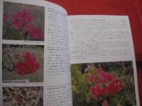 ☆沖縄の自然　　　　 熱帯花木　　　　 カラー百科シリーズ  　　⑤　　　　　 【沖縄・琉球・自然・植物・樹木】　