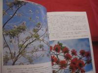 ☆沖縄の自然　　　　 熱帯花木　　　　 カラー百科シリーズ  　　⑤　　　　　 【沖縄・琉球・自然・植物・樹木】　