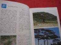 ☆★☆カラー百科シリーズ　　①     　　 沖縄の自然 　　  〔植物〕       　　   【沖縄・琉球・自然・植物・文化】