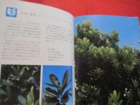☆★☆カラー百科シリーズ　　①     　　 沖縄の自然 　　  〔植物〕       　　   【沖縄・琉球・自然・植物・文化】