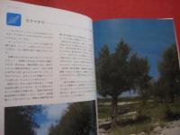 ☆★☆カラー百科シリーズ　　①     　　 沖縄の自然 　　  〔植物〕       　　   【沖縄・琉球・自然・植物・文化】