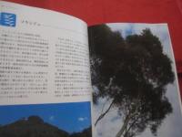 ☆★☆カラー百科シリーズ　　①     　　 沖縄の自然 　　  〔植物〕       　　   【沖縄・琉球・自然・植物・文化】