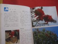 ☆★☆カラー百科シリーズ　　①     　　 沖縄の自然 　　  〔植物〕       　　   【沖縄・琉球・自然・植物・文化】