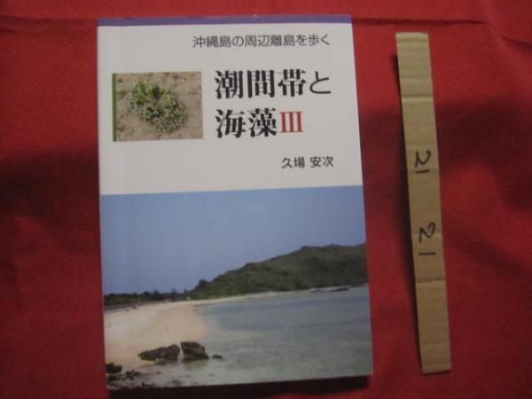 集成 琉歌新釈 阿波根 朝松 著 【沖縄・琉球・歴史・文学・言語