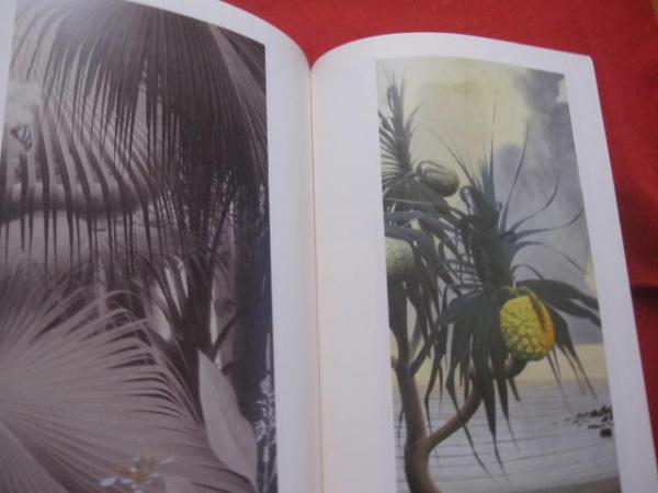 ☆田中一村展 琉球弧で開花した美の世界 沖縄県立博物館・美術館