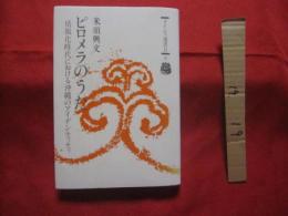 ピロメラのうた　     情報化時代における沖縄のアイデンティティ  　   タイムス選書  　　　　　    【沖縄・琉球・歴史・文化】