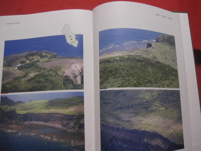 沖縄県史 資料編 １３ 自然環境 １ 硫黄鳥島 沖縄 琉球 歴史 文化 離島 沖縄県島尻郡久米島町 無人島 沖縄最北端の島 編集 財団法人 沖縄県文化振興会 公文書管理部史料編集室 古本 中古本 古書籍の通販は 日本の古本屋 日本の古本屋