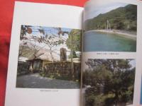西郷のアンゴ　 （ 　島妻　 ） 　　 — 　愛加那　 — 　　　　   【奄美・沖縄・琉球・歴史・文化】