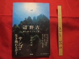 辺野古  　　　ＨＥＮＯＫＯ  　　　海と森がつなぐ命  　　　　埋め立て予定地周辺の自然の真実に迫ったドキュメント作品２００点余を収録　　　　　　    【沖縄・琉球・自然・生物・写真集】