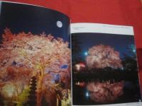ＳＡＫＵＲＡ 　　　 Ｔｈｅ　　 Ｊａｐａｎｅｓｅ　　 Ｓｏｕｌ 　　Ｆｌｏｗｅｒ  　　　　「桜」　 オールカラー英文写真集    　　　　　　  【花・自然・風景】