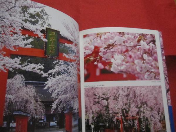 京都花名所 「桜」「四季の花」「紅葉」「花鳥風月」「百花繚乱