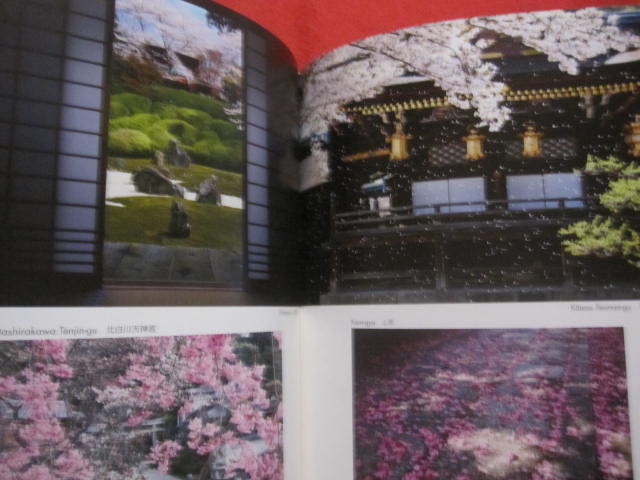 SAKURA The Japanese Soul Flower