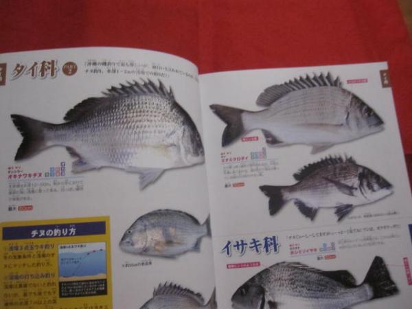 おきなわの釣り魚図鑑 ３３５種 改訂版 子供やシニアに優しい本にしました 沖縄 琉球 自然 アウトドア フィッシング 企画 編集 比嘉 利行 文華堂書店 古本 中古本 古書籍の通販は 日本の古本屋 日本の古本屋