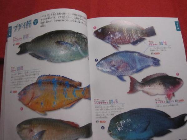 おきなわの釣り魚図鑑 ３３５種 改訂版 子供やシニアに優しい本にしました 沖縄 琉球 自然 アウトドア フィッシング 企画 編集 比嘉 利行 文華堂書店 古本 中古本 古書籍の通販は 日本の古本屋 日本の古本屋