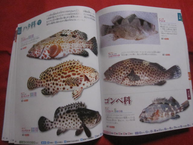 おきなわの釣り魚図鑑 ３３５種 改訂版 子供やシニアに優しい本にしました 沖縄 琉球 自然 アウトドア フィッシング 企画 編集 比嘉 利行 文華堂書店 古本 中古本 古書籍の通販は 日本の古本屋 日本の古本屋