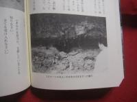 ☆沖縄聖地巡礼       　　       【沖縄・琉球・歴史・文化・信仰】