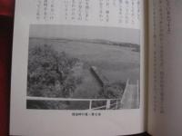 ☆沖縄聖地巡礼       　　       【沖縄・琉球・歴史・文化・信仰】