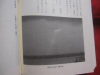 ★沖縄聖地巡礼       　　       【沖縄・琉球・歴史・文化・信仰】