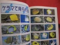 ★ダイビングポイントマップ沖縄      ―  ケラマ編  ―           【沖縄・琉球・自然・趣味・海洋・マリンレジャー】