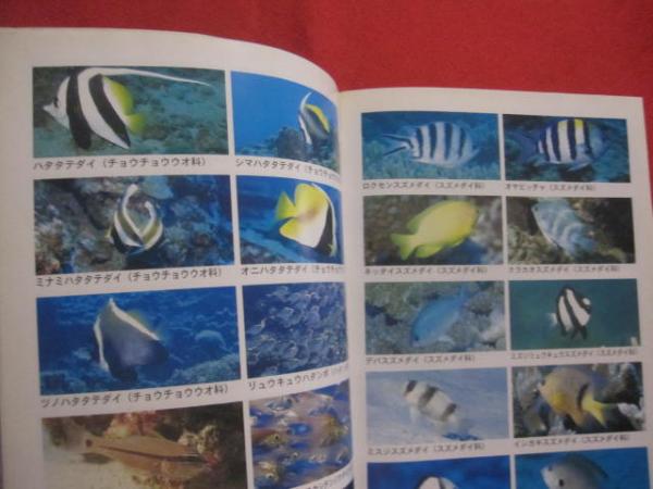 Amazon.co.jp: 沖縄Diving Point Map No1 沖縄本島編 : 本