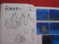 ☆★ダイビングポイントマップ沖縄      ―  ケラマ編  ―           【沖縄・琉球・自然・趣味・海洋・マリンレジャー】