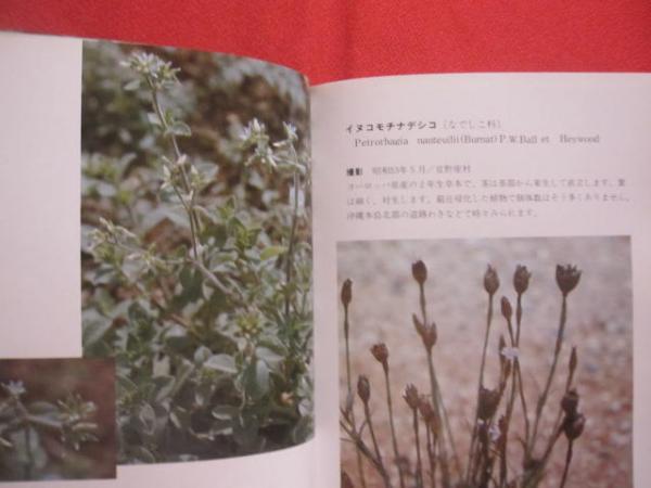 Amazon.co.jp: 沖縄植物野外活用図鑑 全6巻セット （辞典琉球