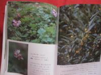 沖縄植物野外活用図鑑       第３巻     　帰化植物         【沖縄・琉球・自然・生物・野草】