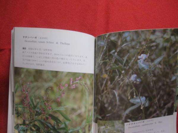 沖縄植物野外活用図鑑 全6巻セット 【沖縄・琉球・自然・植物