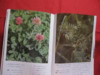 沖縄植物野外活用図鑑       第３巻     　帰化植物         【沖縄・琉球・自然・生物・野草】