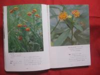 沖縄植物野外活用図鑑       第３巻     　帰化植物         【沖縄・琉球・自然・生物・野草】