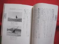 ★さらにつかえる  　　おきなわ行事イベントの本  　 　　     【沖縄・琉球・歴史・文化・年中行事】